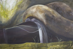 "Eaten alive", Aleksandra Kosakowska, 2016